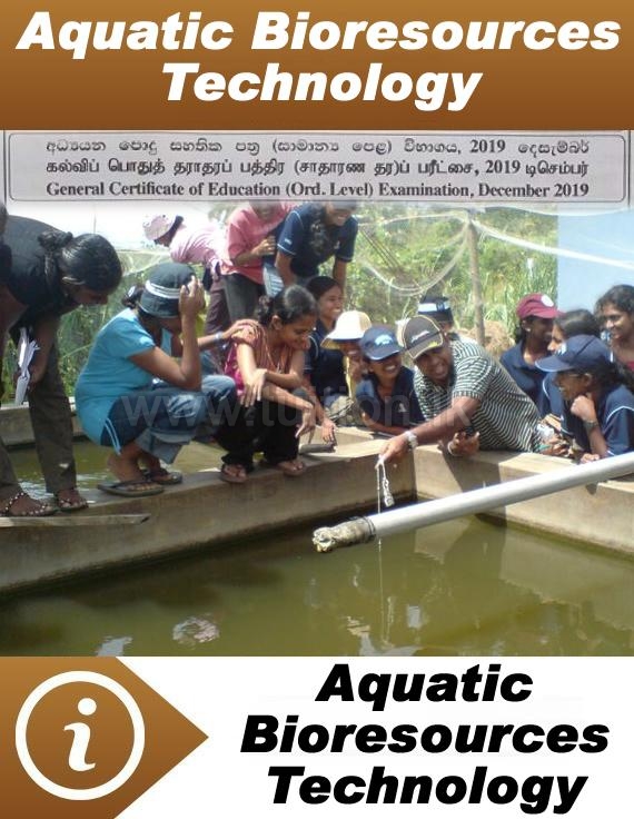 tuition class olevel sri lanka colombo private school pass papers tuition class olevel sri lanka colombo private school pass papers